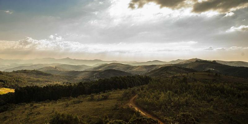 从路人到铁粉：解锁微博粉丝团运营的三大核心策略，打造高粘性社群