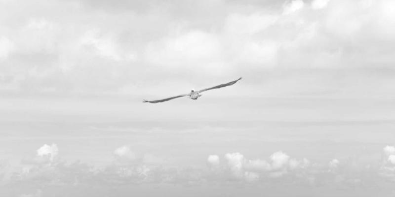 引爆微博流量:三步精准选择KOL,科学评估营销效果,实现高效粉丝增长