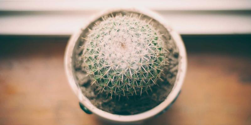 微博内容电商实战：从种草到成交，三步打造高转化引流闭环